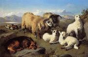 unknow artist Sheep 191 Sweden oil painting artist